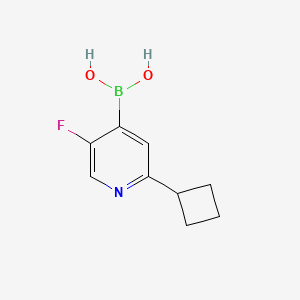Chemical structure of 5-Fluoro-2-(cyclobutyl)pyridine-4-boronic acid