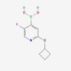 Chemical structure of 5-Fluoro-2-(cyclobutoxy)pyridine-4-boronic acid