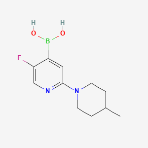 Chemical structure of 5-Fluoro-2-(4-methylpiperidin-1-yl)pyridine-4-boronic acid