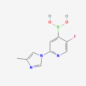 Chemical structure of 5-Fluoro-2-(4-methylimidazol-1-yl)pyridine-4-boronic acid