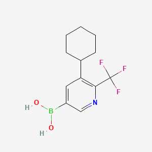 Chemical structure of 5-Cyclohexyl-6-trifluoromethylpyridine-3-boronic acid