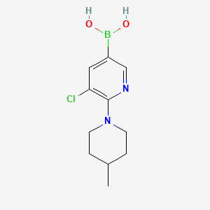 Chemical structure of 5-Chloro-6-(4-methylpiperidin-1-yl)pyridine-3-boronic acid