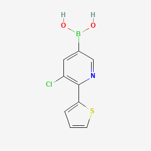 Chemical structure of 5-Chloro-6-(2-thienyl)pyridine-3-boronic acid