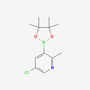 Chemical structure of 5-Chloro-2-methyl-3-(4,4,5,5-tetramethyl-1,3,2-dioxaborolan-2-yl)pyridine