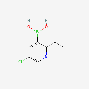 Chemical structure of 5-Chloro-2-ethylpyridine-3-boronic acid