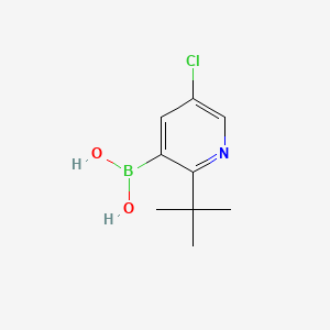 Chemical structure of 5-Chloro-2-(tert-butyl)pyridine-3-boronic acid