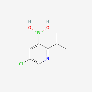 Chemical structure of 5-Chloro-2-(iso-propyl)pyridine-3-boronic acid