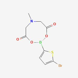 Chemical structure of 5-Bromothiophene-2-boronic acid MIDA este