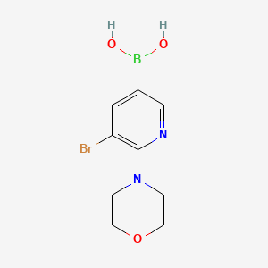 Chemical structure of 5-Bromo-6-(morpholino)pyridine-3-boronic acid