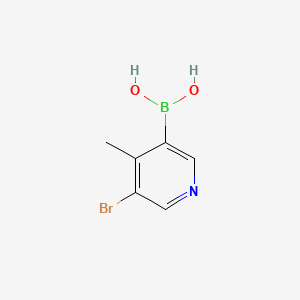 Chemical structure of 5-Bromo-4-methylpyridine-4-boronic acid