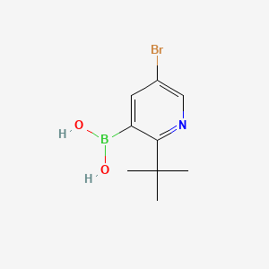 Chemical structure of 5-Bromo-2-(tert-butyl)pyridine-3-boronic acid