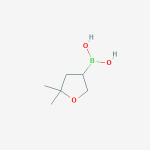 Chemical structure of 5,5-Dimethyltetrahydrofuran-3-boronic acid