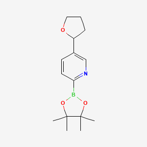 Chemical structure of 5-(tetrahydrofuran-2-yl)-2-(4,4,5,5-tetramethyl-1,3,2-dioxaborolan-2-yl)pyridine