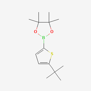 Chemical structure of 5-(tert-Butyl)thiophene-2-boronic acid pinacol ester
