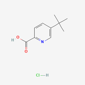Chemical structure of 5-(tert-butyl)pyridine-2-carboxylicacidhydrochloride