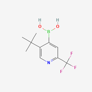 Chemical structure of 5-(TERT-BUTYL)-2-TRIFLUOROMETHYLPYRIDINE-4-BORONIC ACID