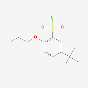 Chemical structure of 5-(tert-Butyl)-2-propoxybenzene-1-sulfonyl chloride