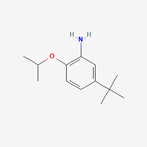 Chemical structure of 5-(tert-butyl)-2-isopropoxyaniline