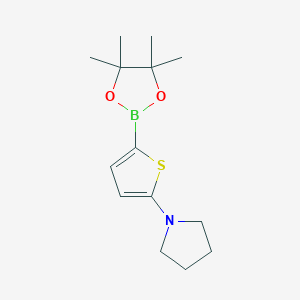 Chemical structure of 5-(Pyrrolidino)thiophene-2-boronic acid pinacol ester