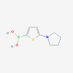 Chemical structure of 5-(Pyrrolidino)thiophene-2-boronic acid