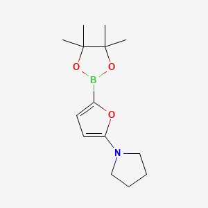 Chemical structure of 5-(Pyrrolidino)furan-2-boronic acid pinacol ester