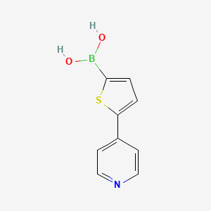 Chemical structure of 5-(4-Pyridyl)thiophene-2-boronic Acid