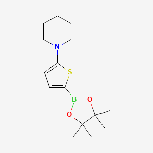Chemical structure of 5-(Piperidino)thiophene-2-boronic acid pinacol ester