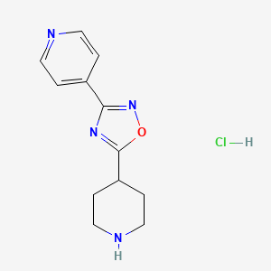 Chemical structure of 5-(Piperidin-4-yl)-3-(pyridin-4-yl)-1,2,4-oxadiazole hydrochloride