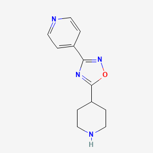 Chemical structure of 4-(5-Piperidin-4-yl-1,2,4-oxadiazol-3-yl)pyridine