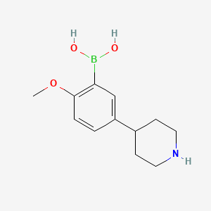 Chemical structure of 5-(Piperidin-4-yl)-2-methoxyphenylboronic acid