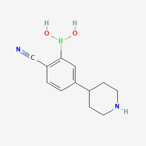 Chemical structure of 5-(Piperidin-4-yl)-2-cyanophenylboronic acid