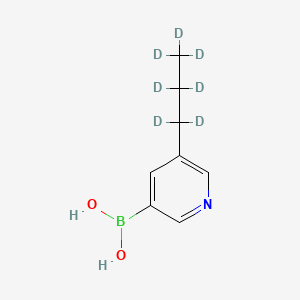 Chemical structure of 5-(n-Propyl-d7)-pyridine-3-boronic acid