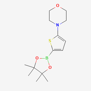 Chemical structure of 5-(Morpholino)thiophene-2-boronic acid pinacol ester