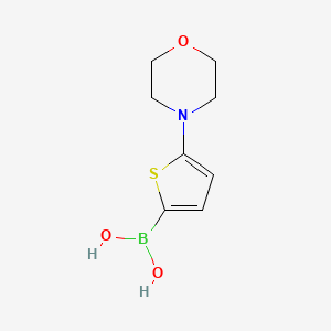 Chemical structure of 5-(Morpholino)thiophene-2-boronic acid