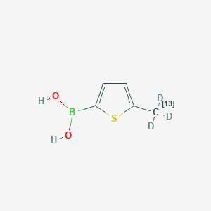 Chemical structure of 5-(Methyl-13C, D3)thiophene-2-boronic acid