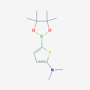 Chemical structure of 5-(Dimethylamino)thiophene-2-boronic acid pinacol ester