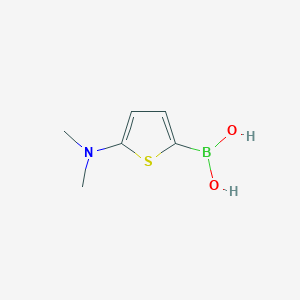 Chemical structure of 5-(Dimethylamino)thiophene-2-boronic acid