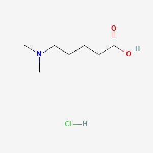 Chemical structure of 5-(Dimethylamino)pentanoic Acid Hydrochloride