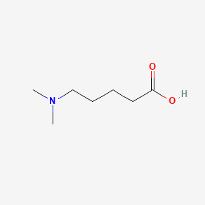Chemical structure of 5-(dimethylamino)pentanoic acid