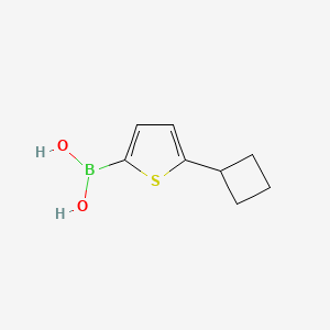Chemical structure of 5-(Cyclobutyl)thiophene-2-boronic acid