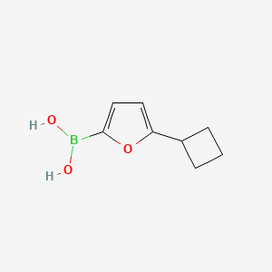 Chemical structure of 5-(Cyclobutyl)furan-2-boronic acid