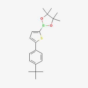 Chemical structure of 5-(4-tert-Butylphenyl)thiophene-2-boronic acid pinacol ester