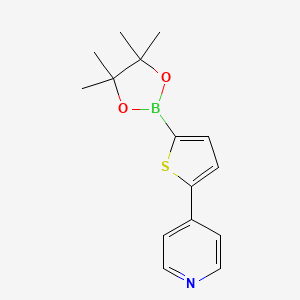 Chemical structure of 5-(4-Pyridyl)thiophene-2-boronic acid pinacol ester