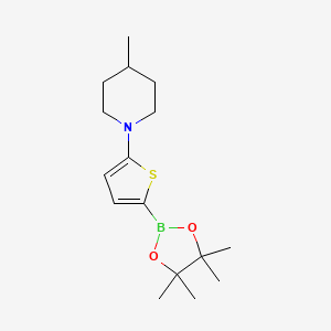Chemical structure of 5-(4-Methylpiperidin-1-yl)thiophene-2-boronic acid pinacol ester
