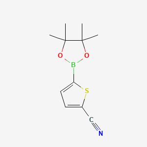 Chemical structure of 5-(4,4,5,5-Tetramethyl-1,3,2-dioxaborolan-2-yl)thiophene-2-carbonitrile