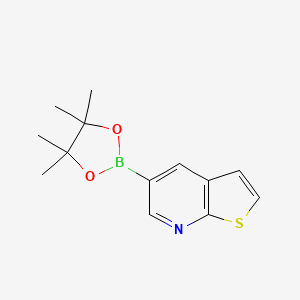 Chemical structure of 5-(4,4,5,5-Tetramethyl-1,3,2-dioxaborolan-2-yl)thieno[2,3-b]pyridine
