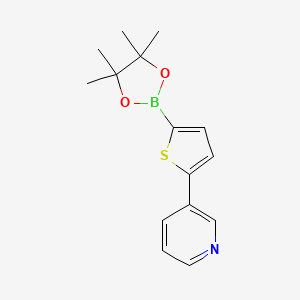 Chemical structure of 5-(3-Pyridyl)thiophene-2-boronic acid pinacol ester