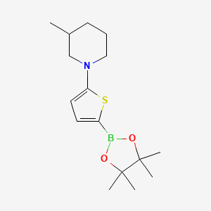 Chemical structure of 5-(3-Methylpiperidin-1-yl)thiophene-2-boronic acid pinacol ester
