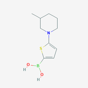 Chemical structure of 5-(3-Methylpiperidin-1-yl)thiophene-2-boronic acid