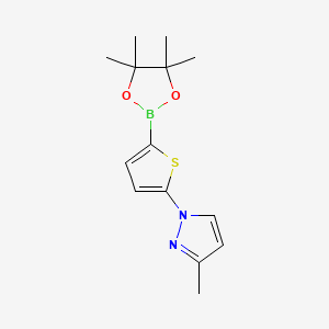 Chemical structure of 5-(3-Methyl-1H-Pyrazol-1-yl)thiophene-2-boronic acid pinacol ester